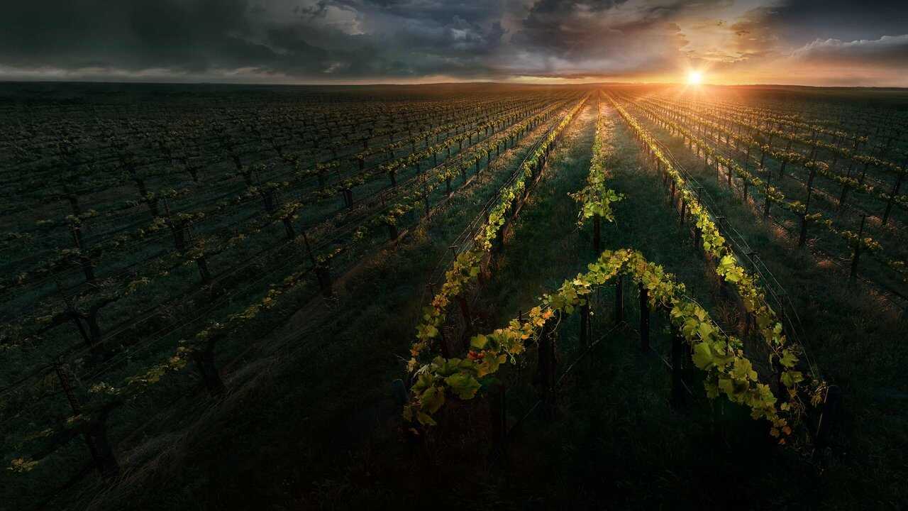 DE - Star Trek: Picard (2020) 3