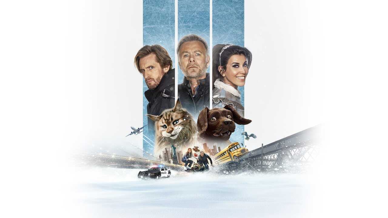 Chien et Chat (2024) 0