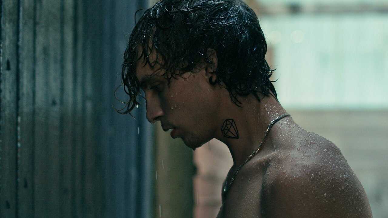 Searching for the Elephant (2024) 0