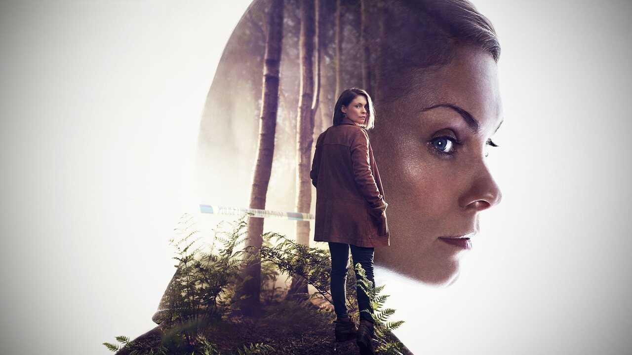 FR - In the Dark (2017) (GB) 0