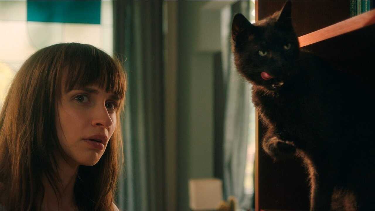 Cat Call (2023) 0