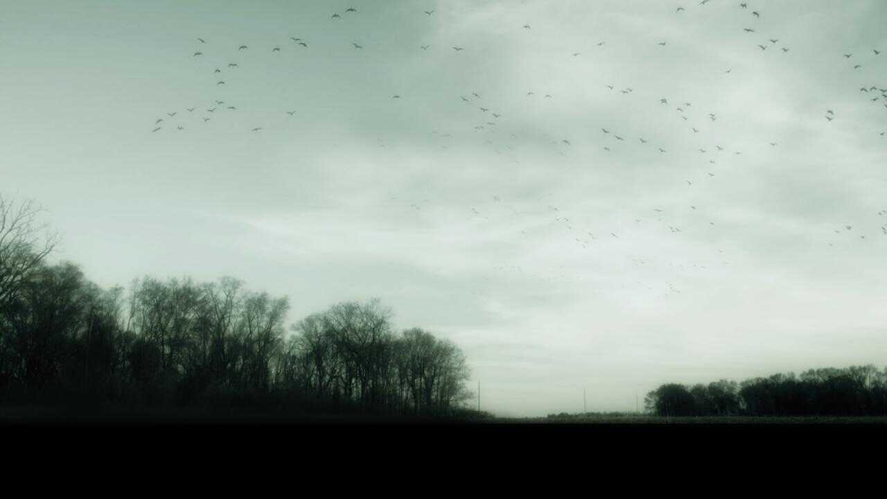DE - Gone (2017) 0