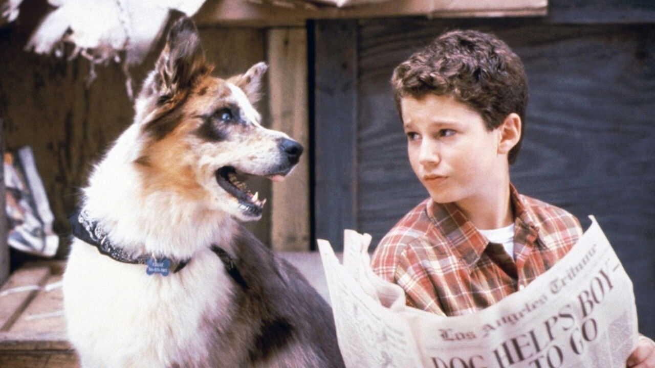 FR - La Double Vie d'Eddie McDowd (1999) (CA) 1