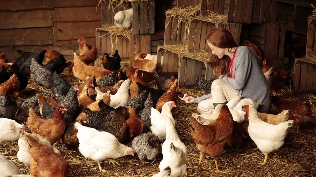 Aquellos maravillosos días (2024) 0