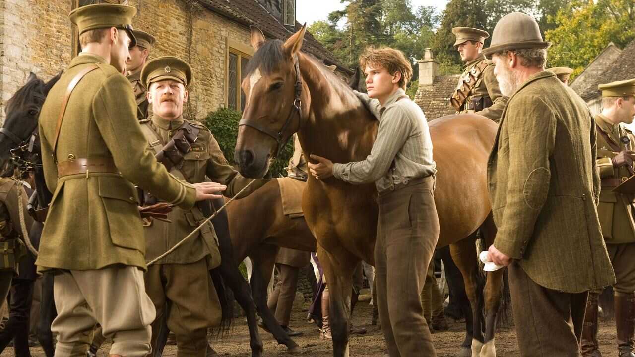 War Horse 0