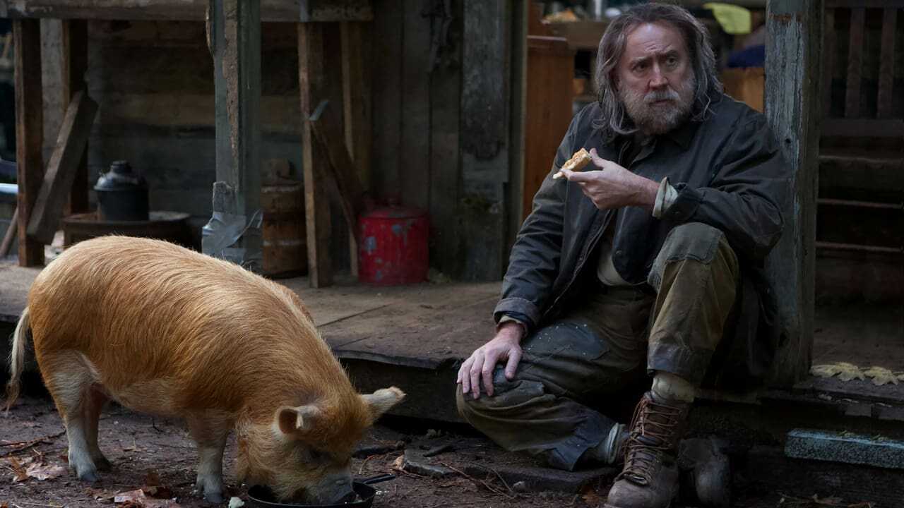 Pig 0