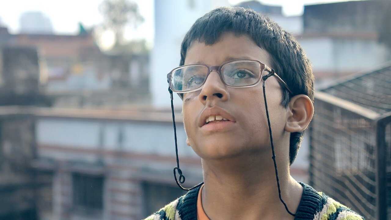 রেনবো জেলি 0