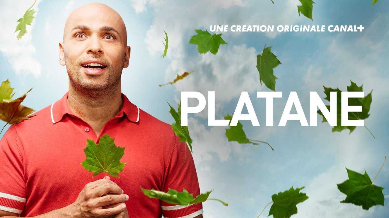 FR - Platane (2011) 3
