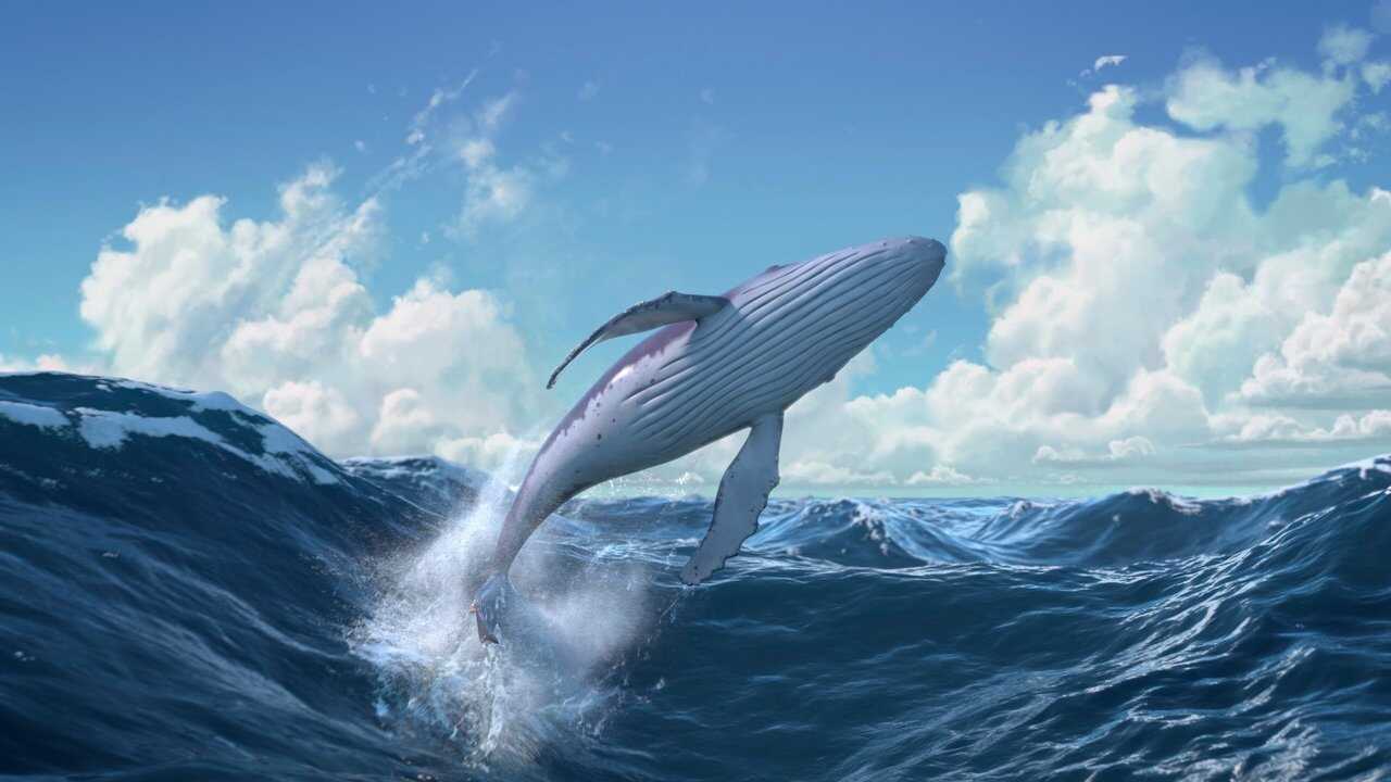 The Snail and the Whale 0