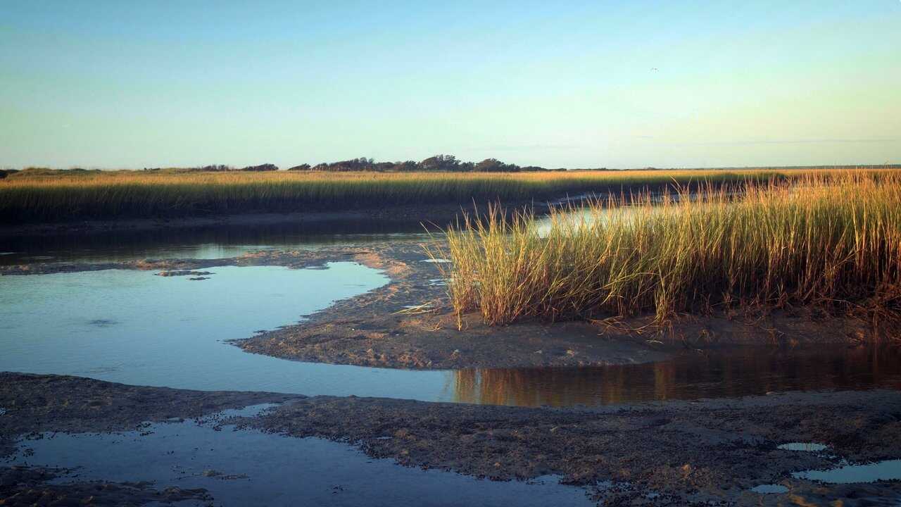 Tides 0
