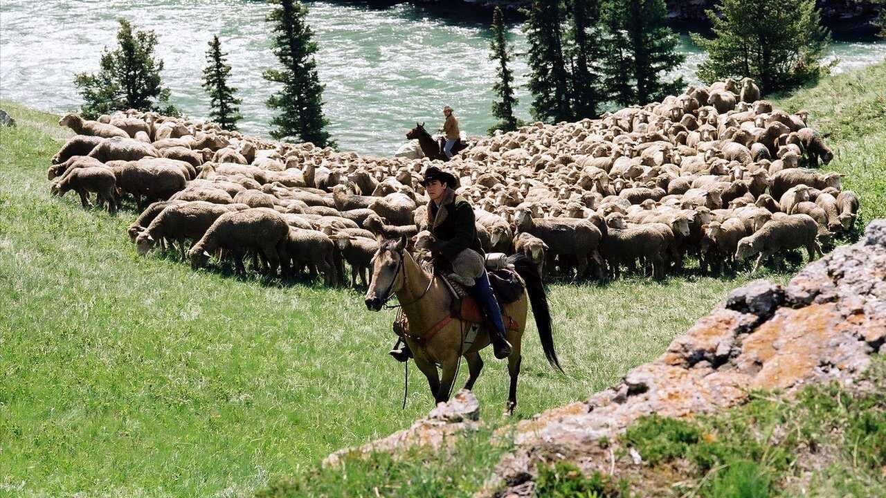 Brokeback Mountain 0