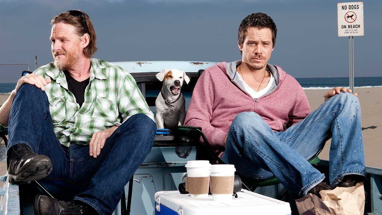 NL - Terriers 4
