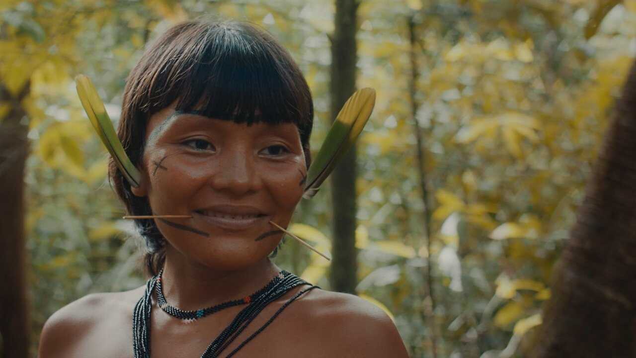 A Última Floresta 0