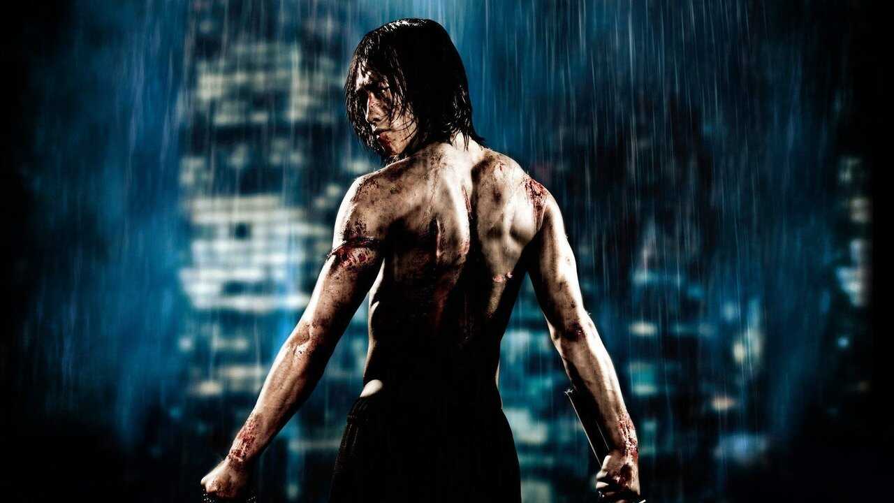 Ninja Assassin 0