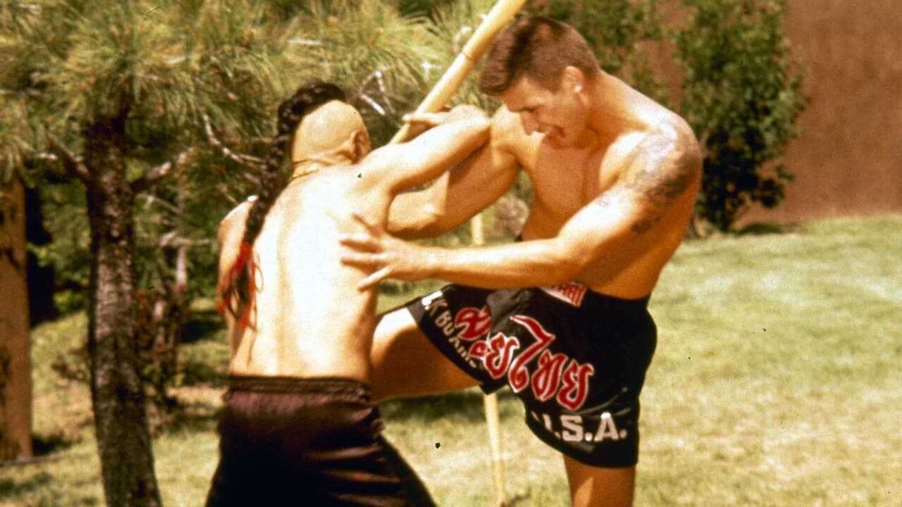 Kickboxer 4: The Aggressor (1994) 0