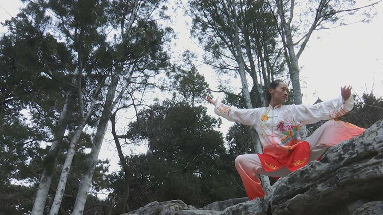 FR - Kung fu Révolution(s) (2021) 0