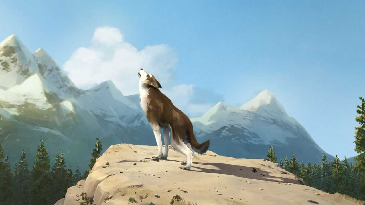Biały Kieł (2018) 0