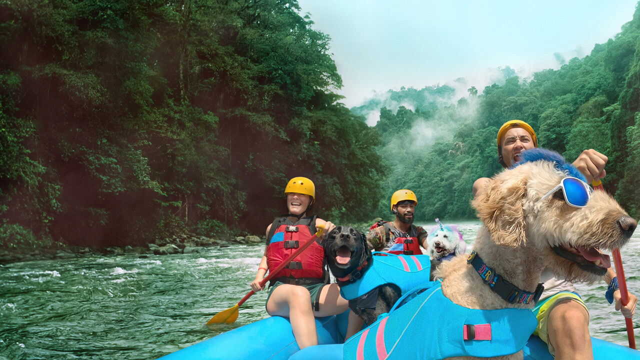 FR - The Pack (2020) (US) 3