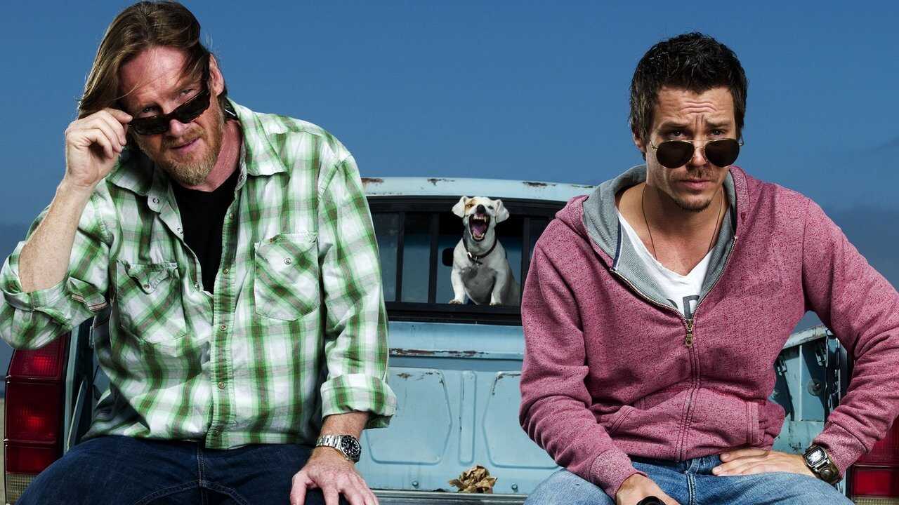 NL - Terriers 3