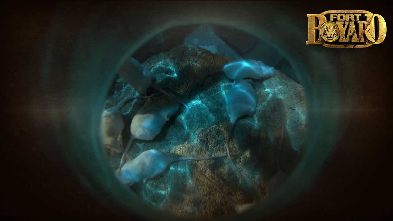 FR - Fort Boyard (1990) (FR) 4