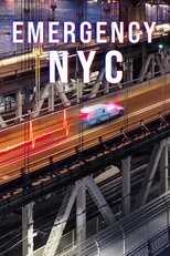 NF - Emergency: NYC 8