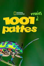 FR - 1001 vraies pattes 8