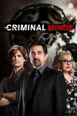 AR - Criminal Minds (2005) 8