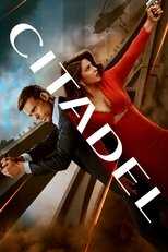 IN - Citadel (Hindi) 8