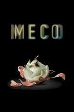 EX - Meso 8