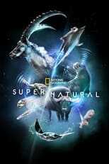 D+ - Super/Natural 8