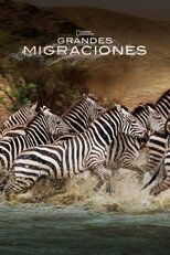 ES - Grandes Migraciones 8
