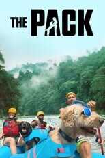 FR - The Pack 8