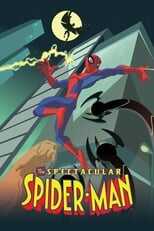 FR - The Spectacular Spider-Man 8