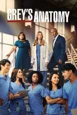 NL - Grey's Anatomy 8