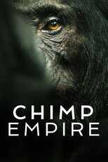 NF - Chimp Empire 8