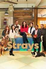 EN - Strays (2021) 8