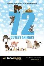 FR - 72 Animaux Mignons 8