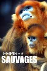 FR - Empires sauvages 8