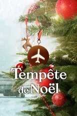 FR - Tempête de Noël 8