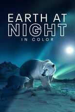 NL - Earth at Night in Color 8