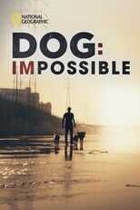 NL - Dog: Impossible 8