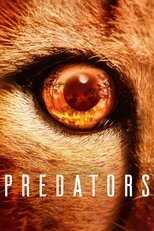 NF - Predators 8