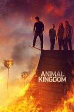 NL - Animal Kingdom 8