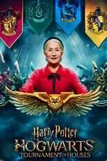 EN - Harry Potter: Hogwarts Tournament of Houses (2023) 8