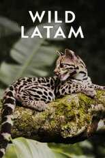 AR - Wild Latam (2020) 8