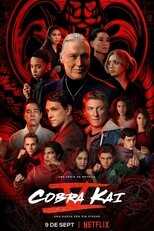 ES - Cobra Kai 8
