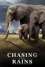 EN - Chasing the Rains (2023) 8
