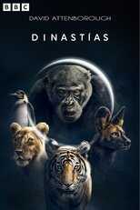 ES - Dinastías 8