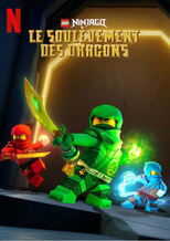 FR - LEGO Ninjago : Le soulèvement des dragons 8