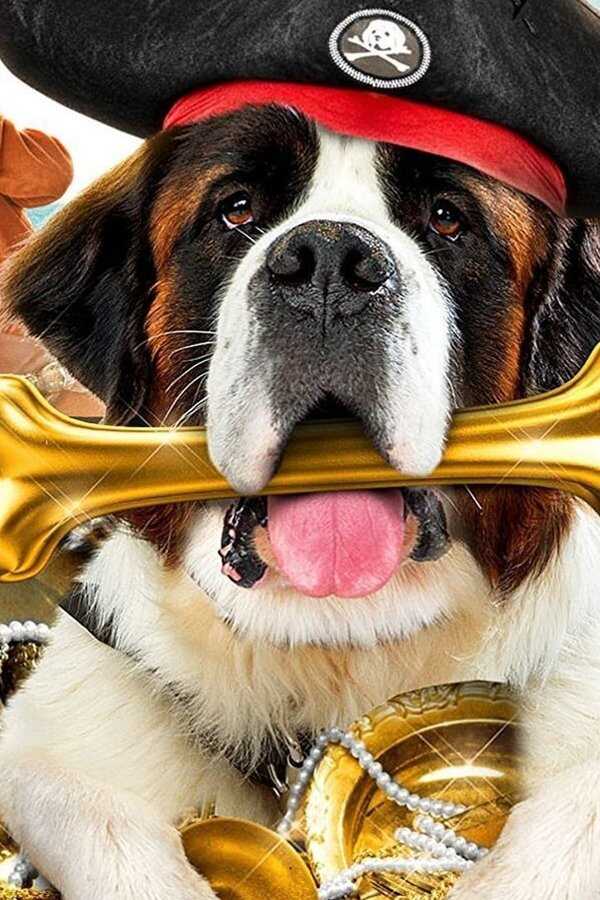 Beethoven's Treasure Tail (2014) 0